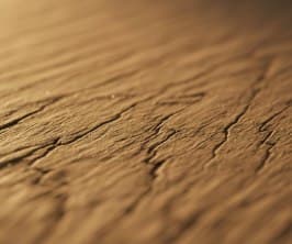 Close-up of a sandstone texture